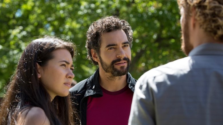 Чёрный тигр крадёт сердце