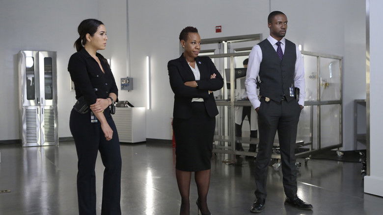 Подними занавес...