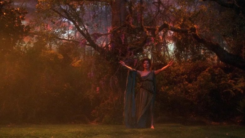 Пустые хлопоты