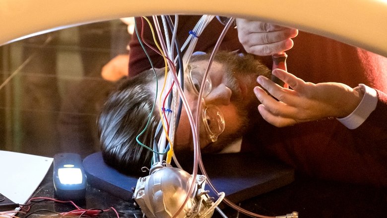 Матери, отцы, дочери, сыновья