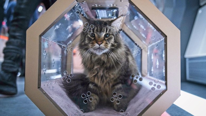 Штормовая погода