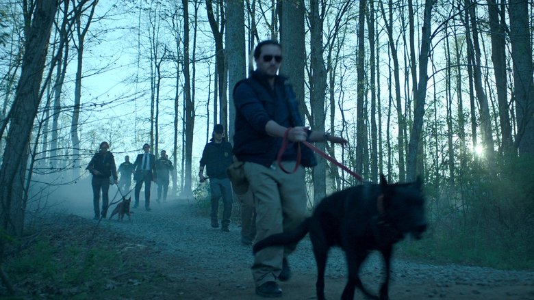 Кромешная тьма