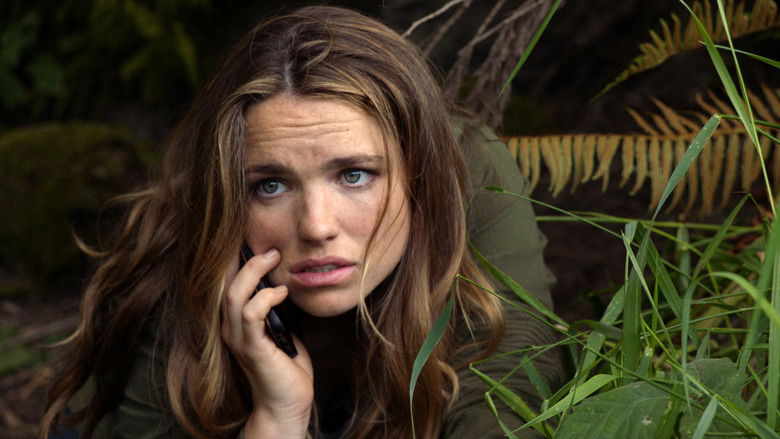 Последний шанс