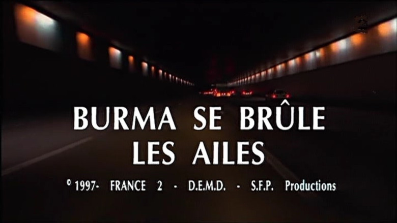 Бурма опалил крылышки