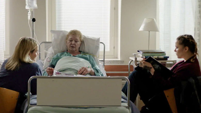 Справедливость и равноправие