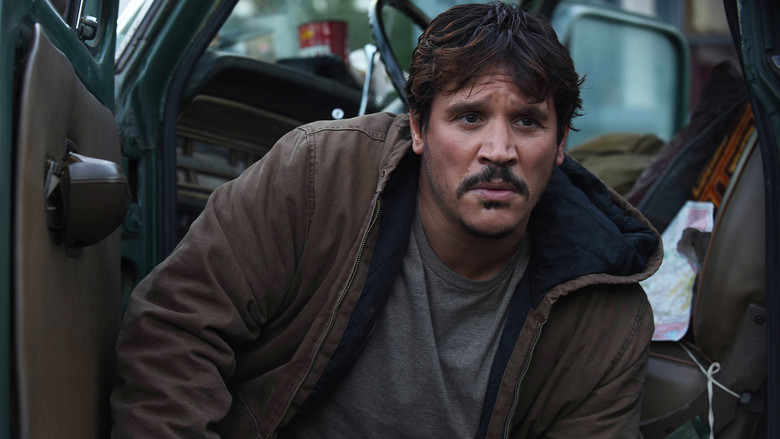 Заставь пташек полетать