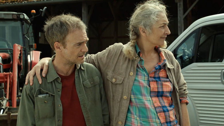 Французская дружба