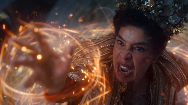 Наперегонки с Тенью