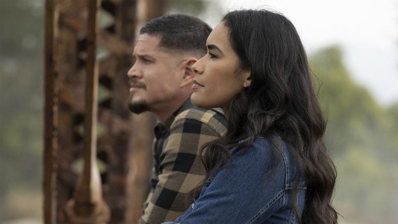 Переполох и счастливое освобождение