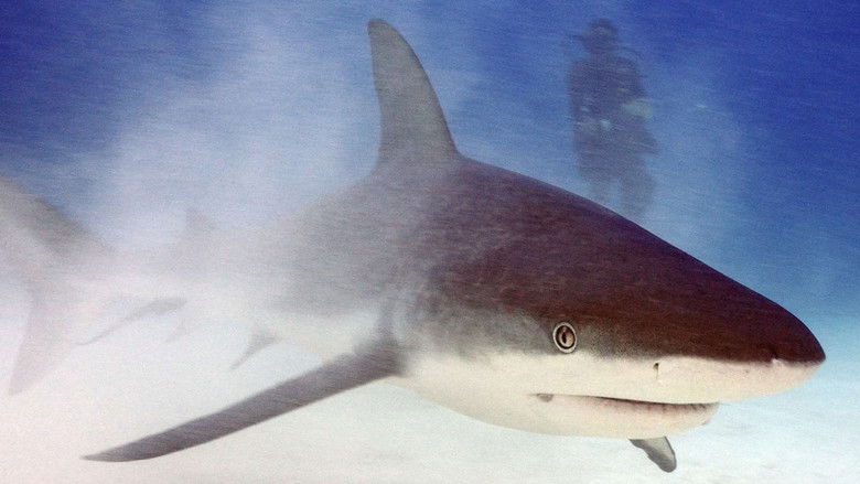 Остров Сокорро