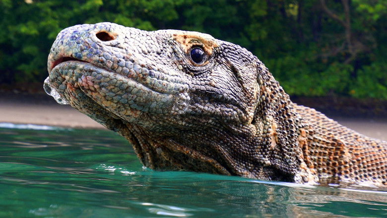 Индонезия - морская Амазонка