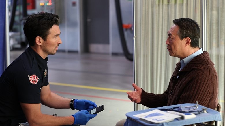 На моём дереве