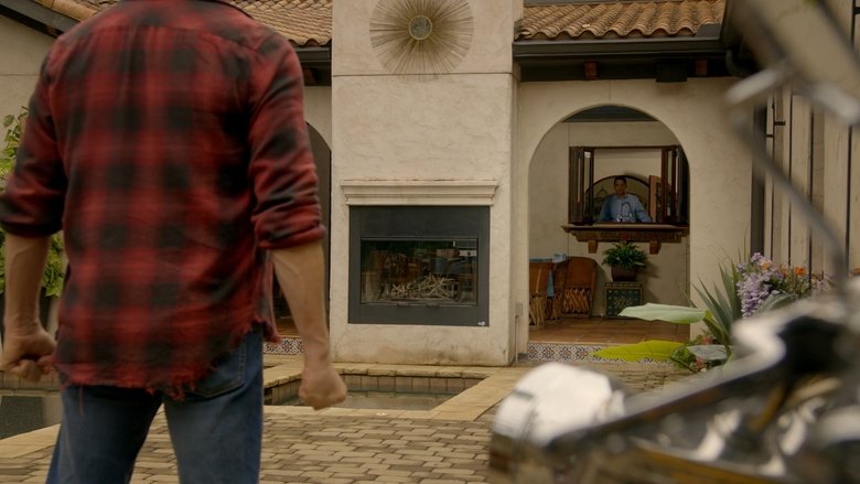 Разные, но одинаковые