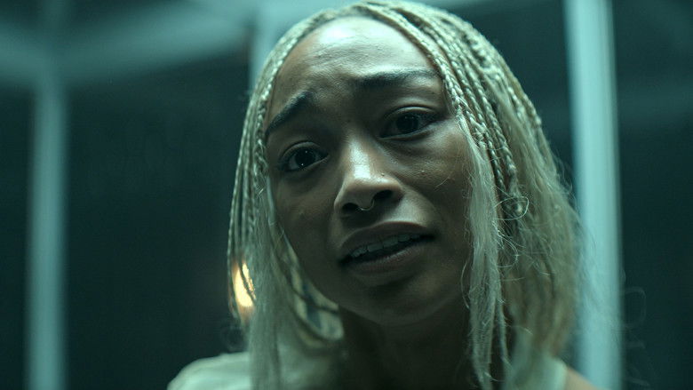 Куда ты идешь? Откуда пришел?