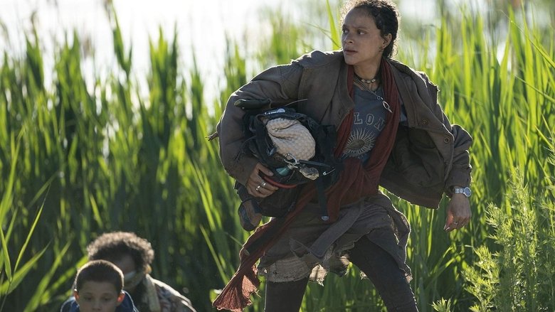 Тише едешь - дальше будешь