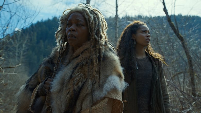 Лавандовый путь