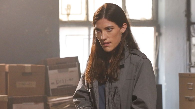 Бурый барибал