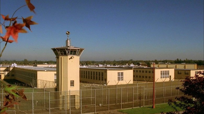 Освобождение