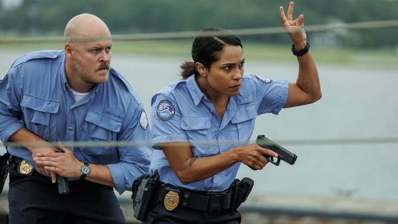 Чеховское ружьё