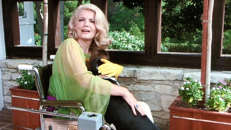 Повторный просмотр