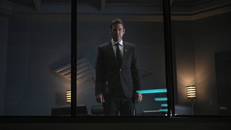 Кроличья нора