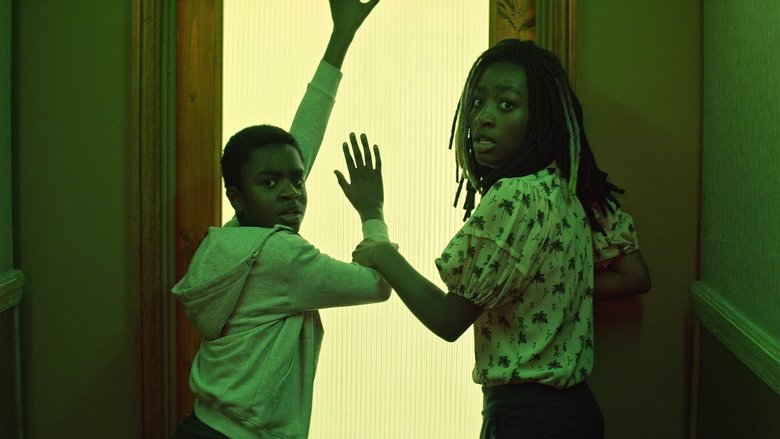 Коллекционеры