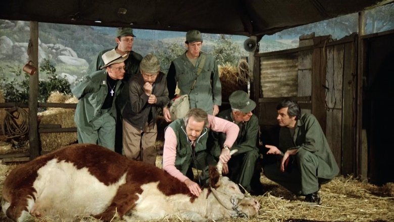 День рожденье девочек