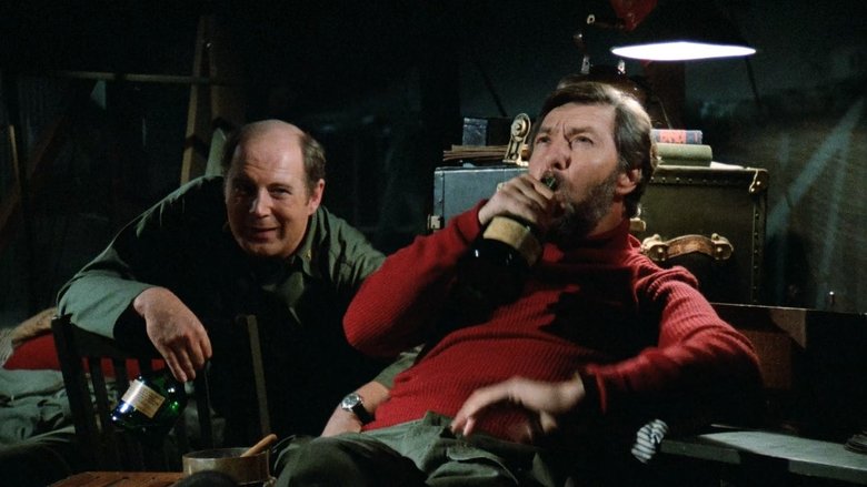 ООН, ночь и музыка