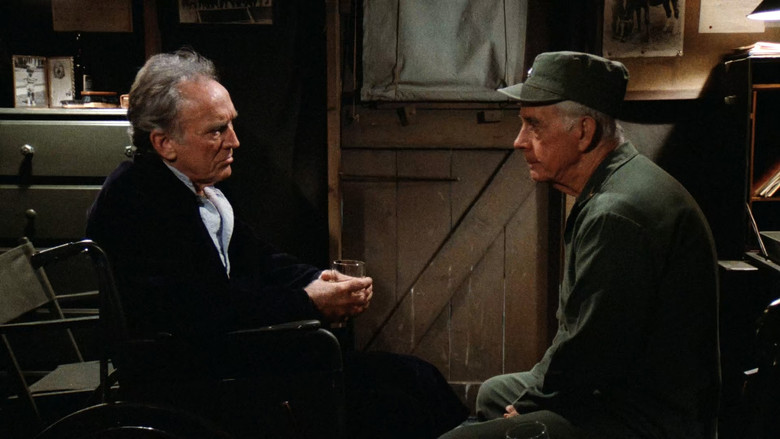 Друзья и враги