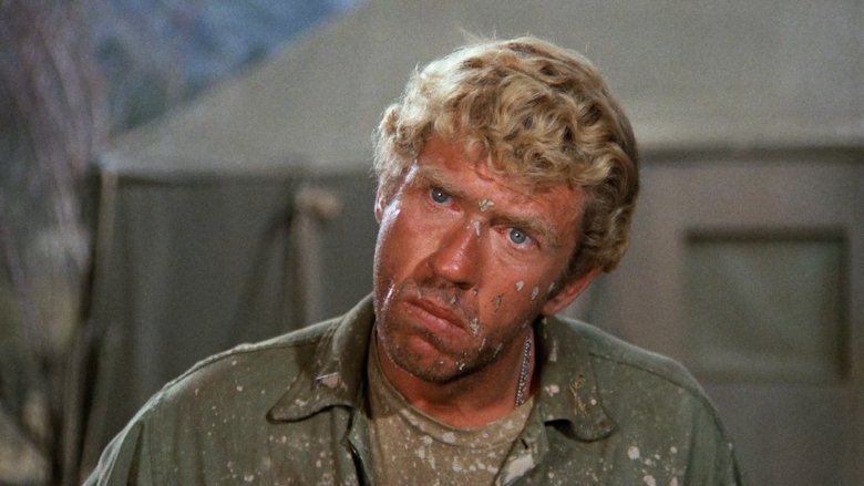 Насыщенный день