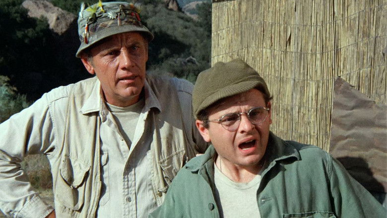 Бешеные собаки и военнослужащие