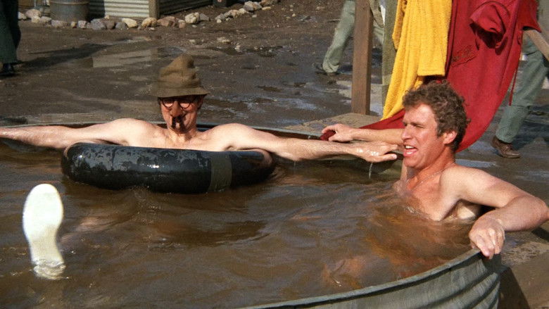 Консультант