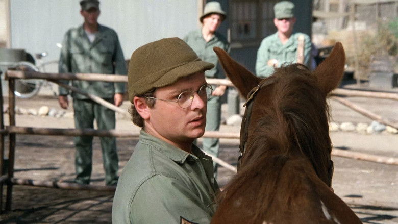 Лошадь полковника