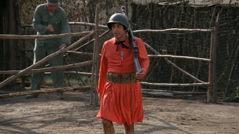 Интересные истории