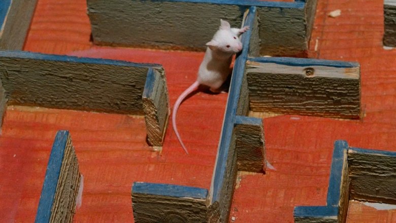 Доктор Винчестер и мистер Икс