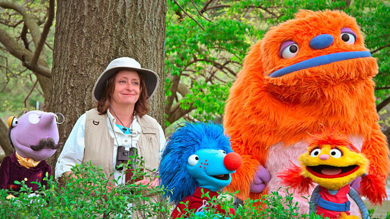 Музыкальная группа. Барбара и птицы.