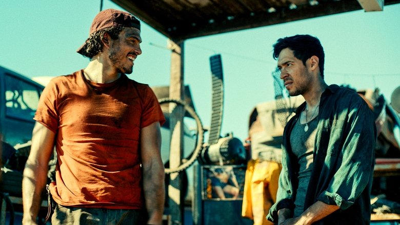 лисы и койоты