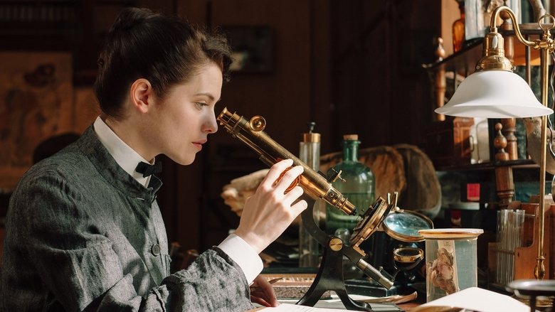 Царица ночи