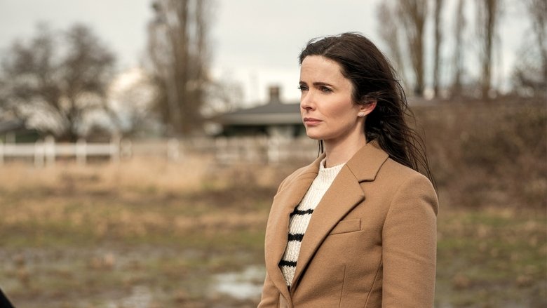 Когда включается свет